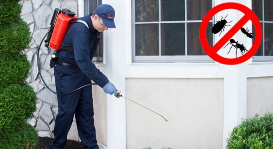 Beydağ Karınca İlaçlama böcek ilaçlama ve haşere kontrolü — ilaclama-tr.com